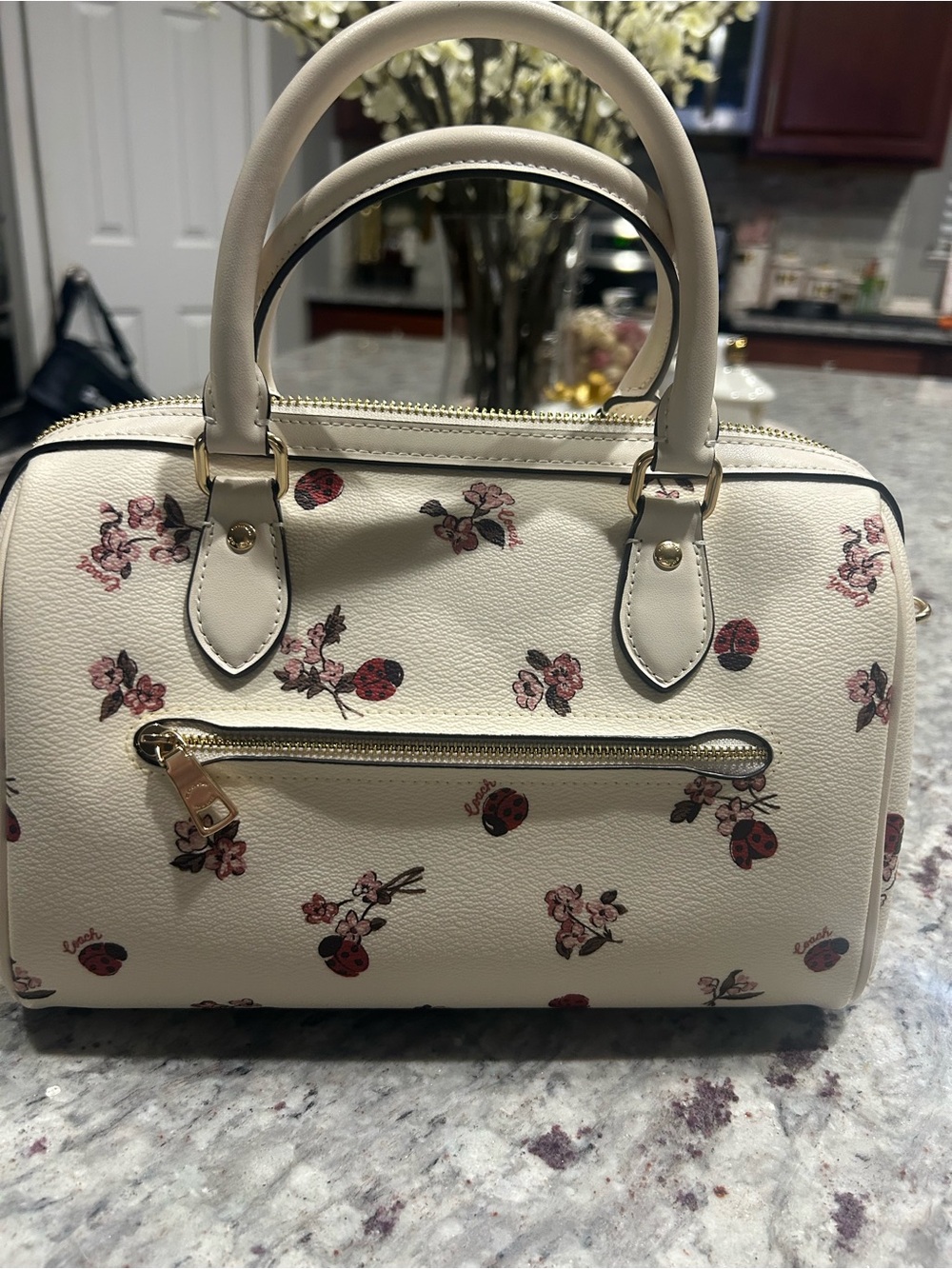 Coach Cream Satchel with Floral and Ladybug Motif - Picture 5 of 7